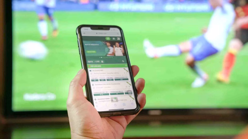 Analytical Standards for the Best Sportsbooks 